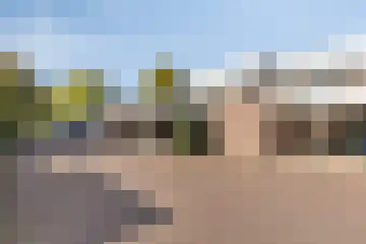 Nijenbeek 5 Barneveld thumbnail 36