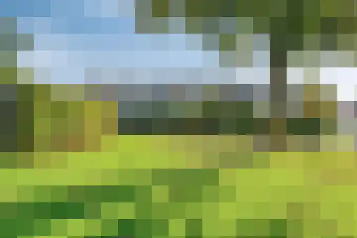 Nijenbeek 5 Barneveld thumbnail 37