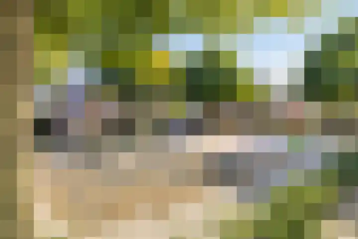 Nijenbeek 5 Barneveld thumbnail 38