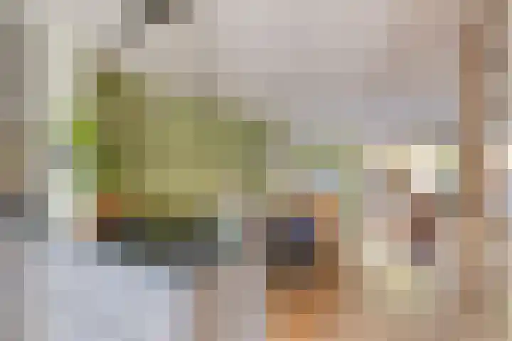 Nijenbeek 5 Barneveld thumbnail 4