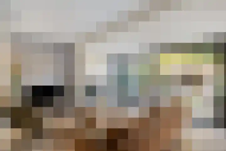Nijenbeek 5 Barneveld thumbnail 5