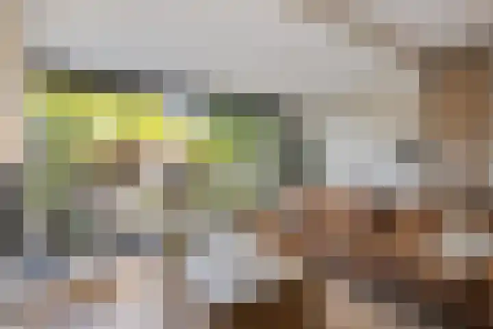 Nijenbeek 5 Barneveld thumbnail 6