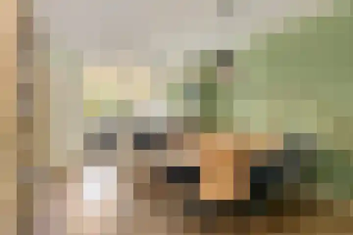Nijenbeek 5 Barneveld thumbnail 8