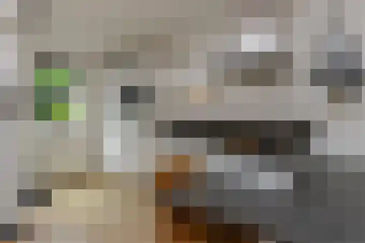 Nijenbeek 59 Ugchelen thumbnail 11