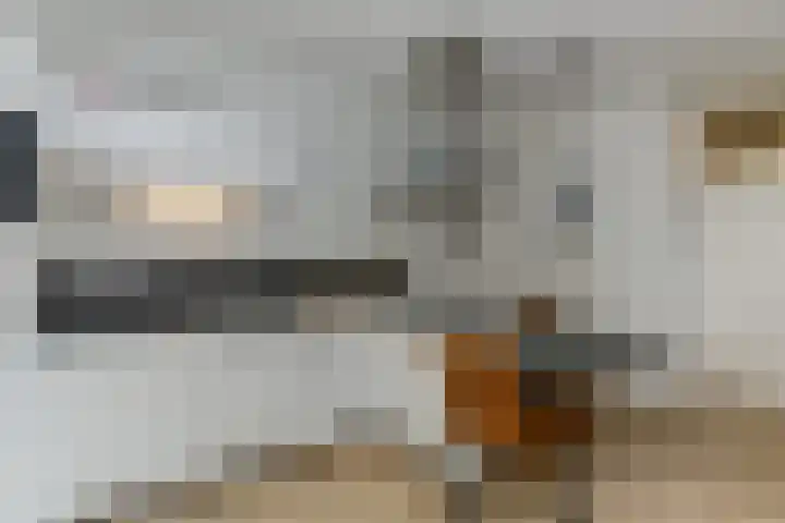 Nijenbeek 59 Ugchelen thumbnail 12