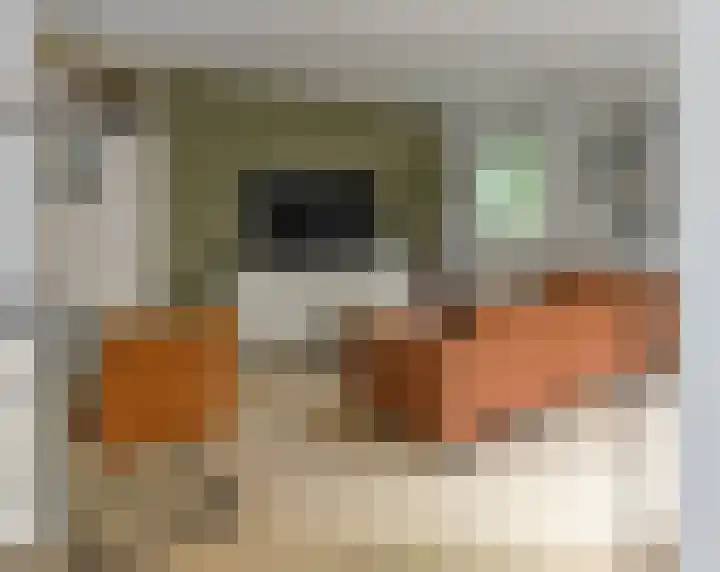 Nijenbeek 59 Ugchelen thumbnail 13