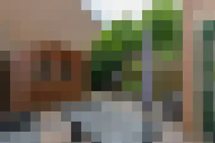 Nijenbeek 59 Ugchelen thumbnail 18