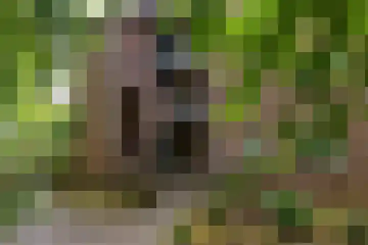 Nijenbeek 59 Ugchelen thumbnail 20
