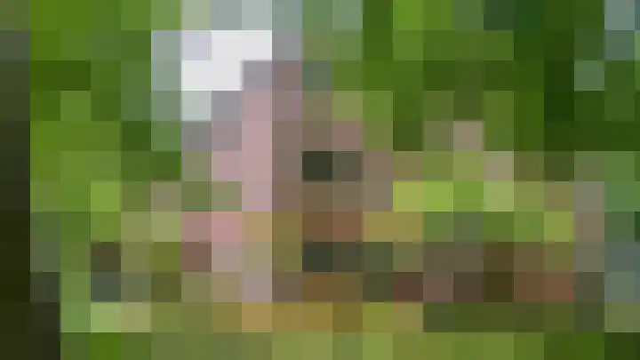 Nijenbeek 59 Ugchelen thumbnail 24