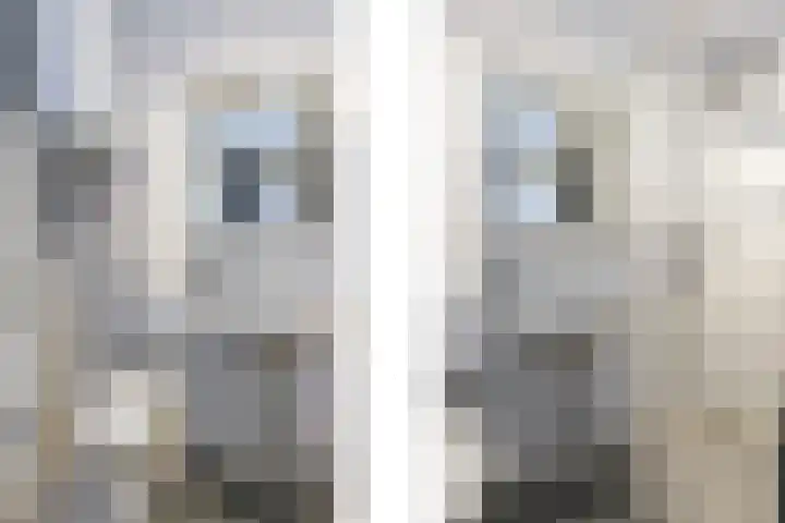 Nijenbeek 59 Ugchelen thumbnail 8