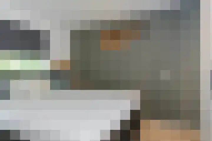 Nijenbeek 59 Ugchelen thumbnail 9