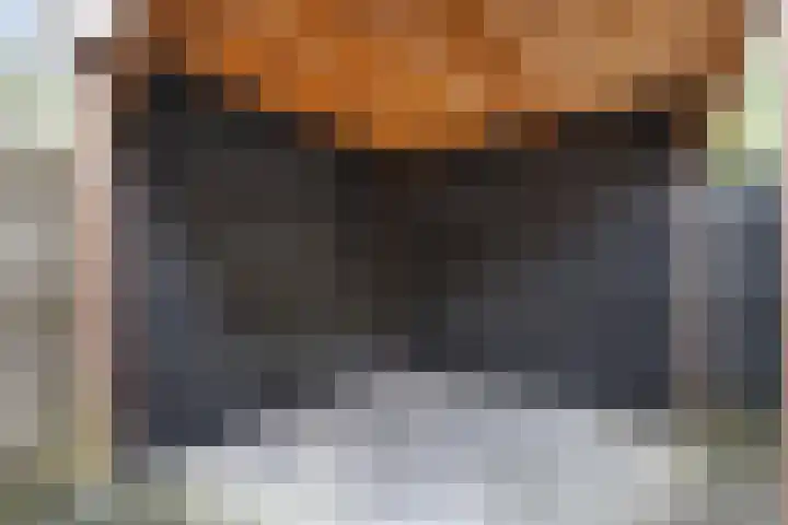 Nijenbeek 61 Ugchelen thumbnail 12
