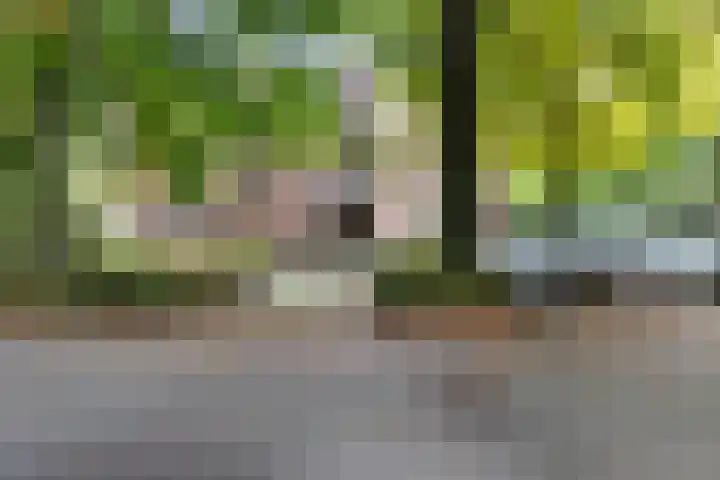 Nijenbeek 61 Ugchelen thumbnail 14