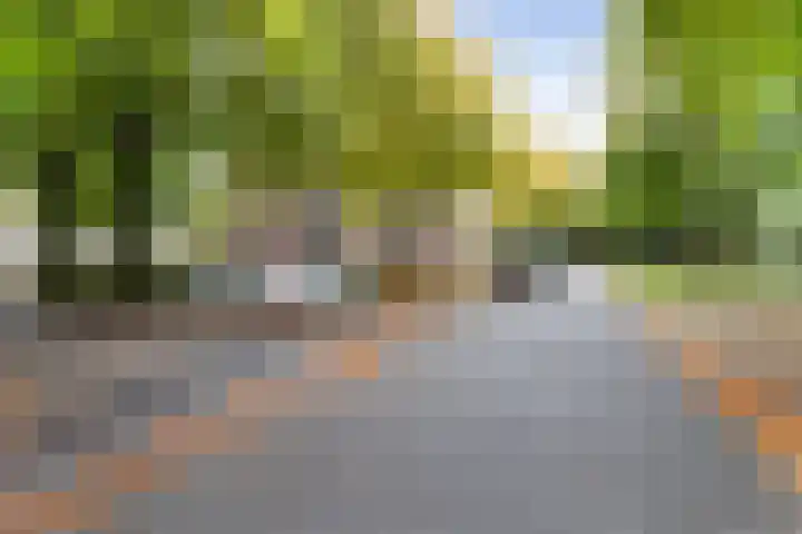 Nijenbeek 61 Ugchelen thumbnail 15