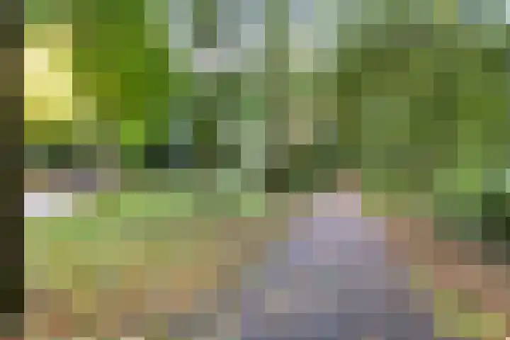 Nijenbeek 61 Ugchelen thumbnail 16