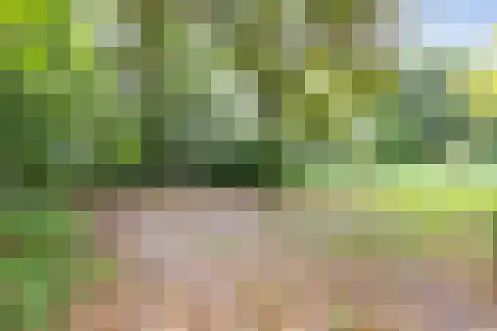 Nijenbeek 61 Ugchelen thumbnail 17