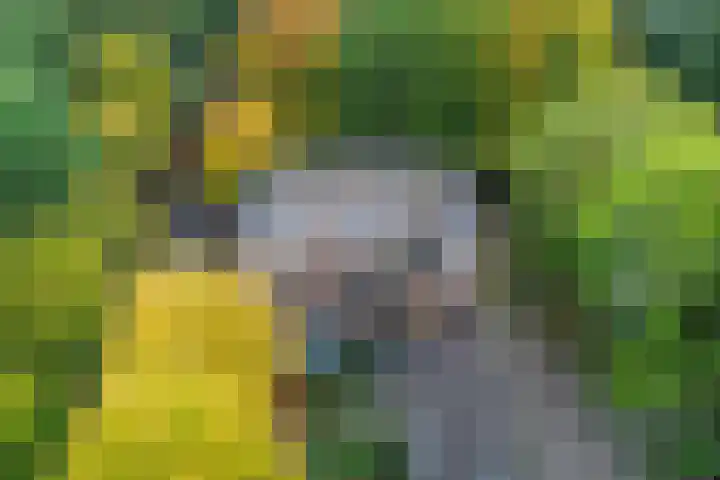 Nijenbeek 61 Ugchelen thumbnail 20