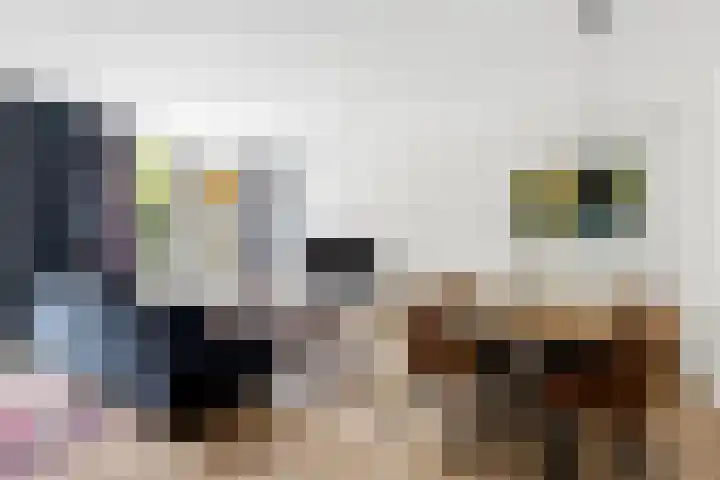 Nijenbeek 61 Ugchelen thumbnail 5