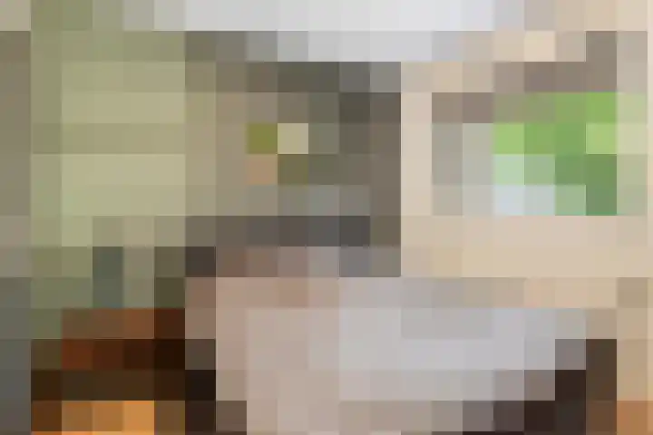 Nijenbeek 61 Ugchelen thumbnail 7