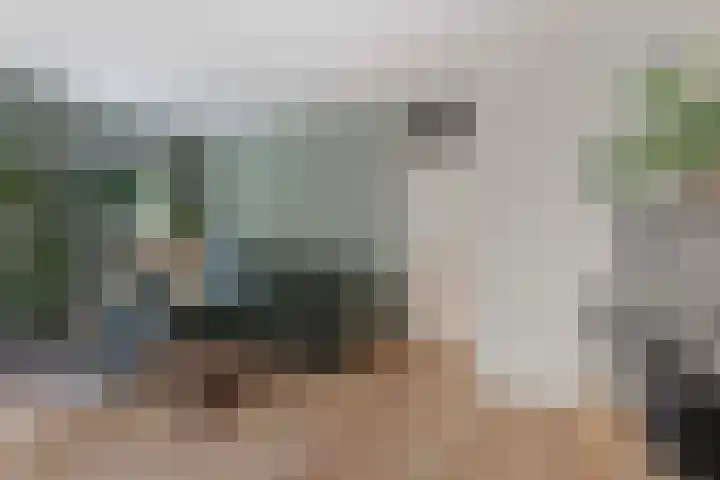 Nijenbeek 63 Ugchelen thumbnail 10
