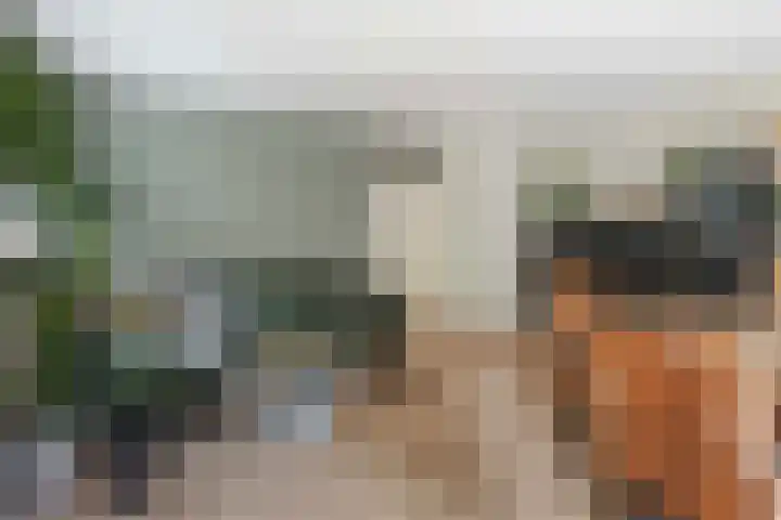 Nijenbeek 63 Ugchelen thumbnail 11