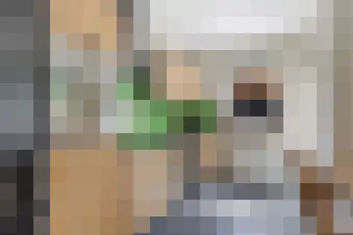 Nijenbeek 63 Ugchelen thumbnail 14