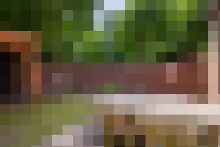 Nijenbeek 63 Ugchelen thumbnail 18