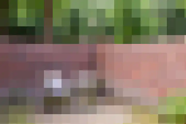 Nijenbeek 63 Ugchelen thumbnail 19