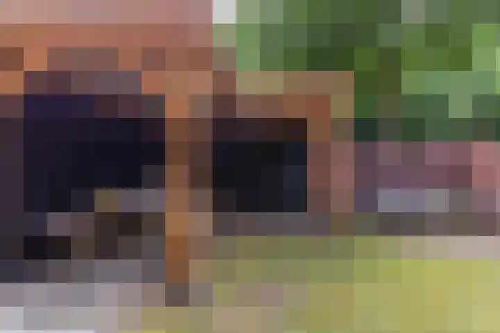 Nijenbeek 63 Ugchelen thumbnail 22