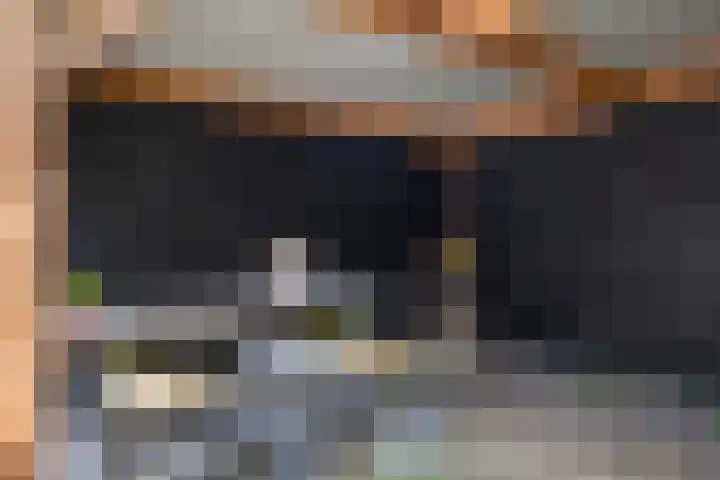 Nijenbeek 63 Ugchelen thumbnail 23