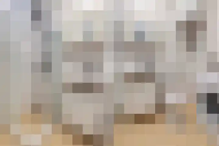 Nijenbeek 63 Ugchelen thumbnail 27
