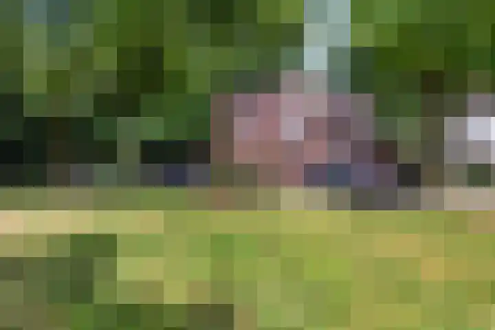 Nijenbeek 63 Ugchelen thumbnail 28
