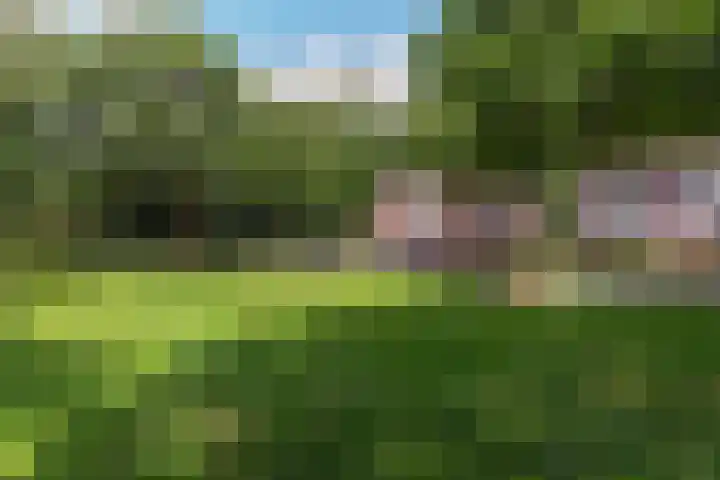 Nijenbeek 63 Ugchelen thumbnail 29
