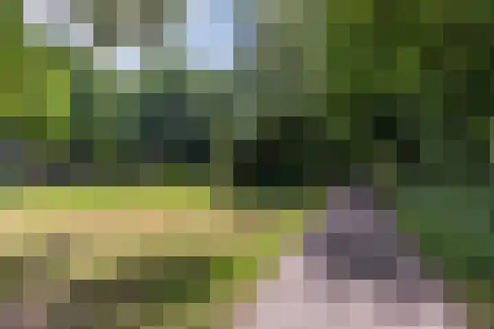 Nijenbeek 63 Ugchelen thumbnail 30