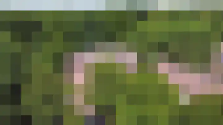 Nijenbeek 63 Ugchelen thumbnail 31