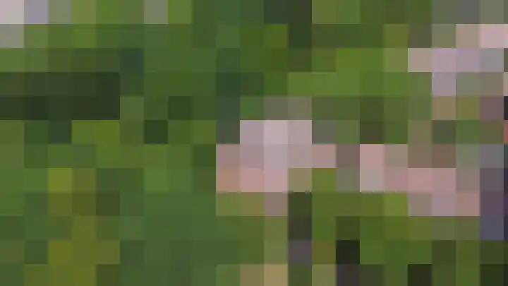 Nijenbeek 63 Ugchelen thumbnail 32