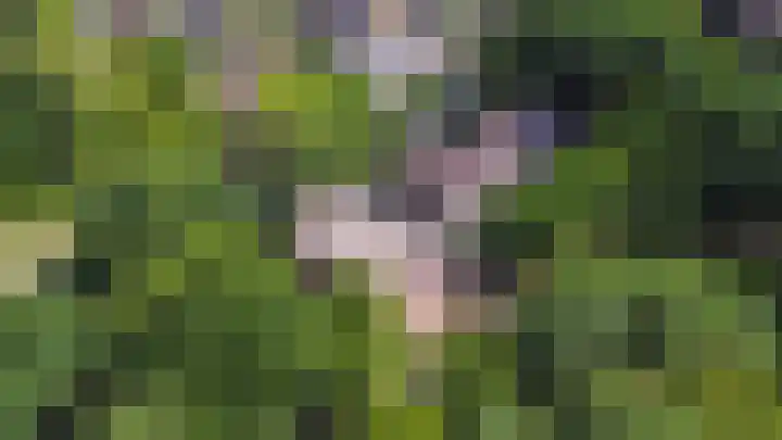 Nijenbeek 63 Ugchelen thumbnail 33