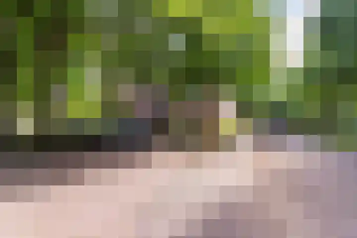 Nijenbeek 63 Ugchelen thumbnail 34