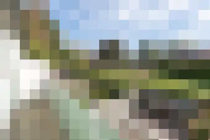 Nijenbeek 70 Barneveld thumbnail 21