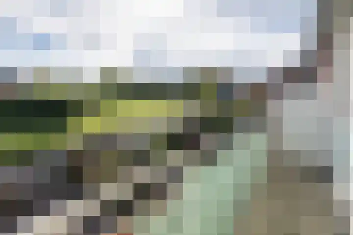Nijenbeek 70 Barneveld thumbnail 22