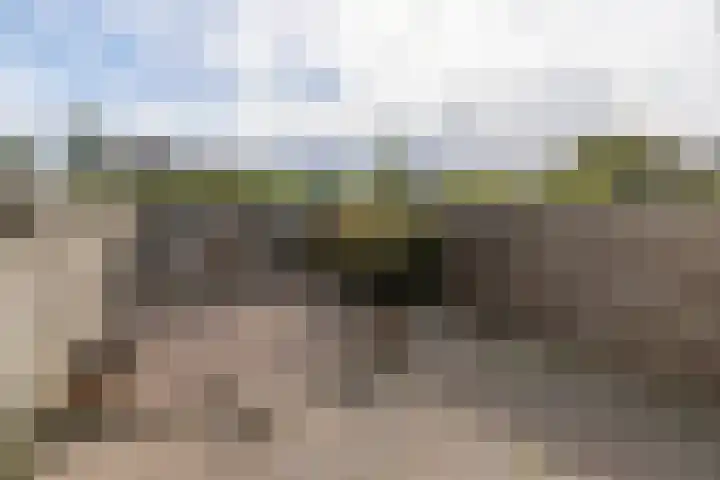 Nijenbeek 70 Barneveld thumbnail 30