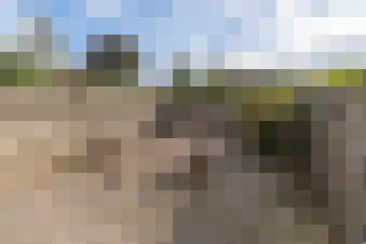 Nijenbeek 70 Barneveld thumbnail 31