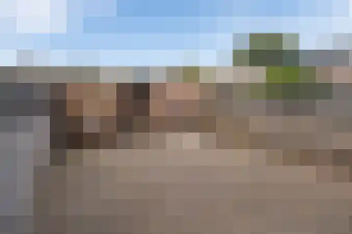 Nijenbeek 70 Barneveld thumbnail 33