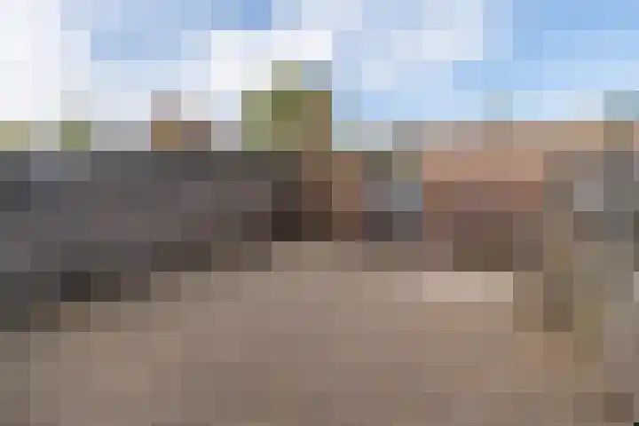 Nijenbeek 70 Barneveld thumbnail 34