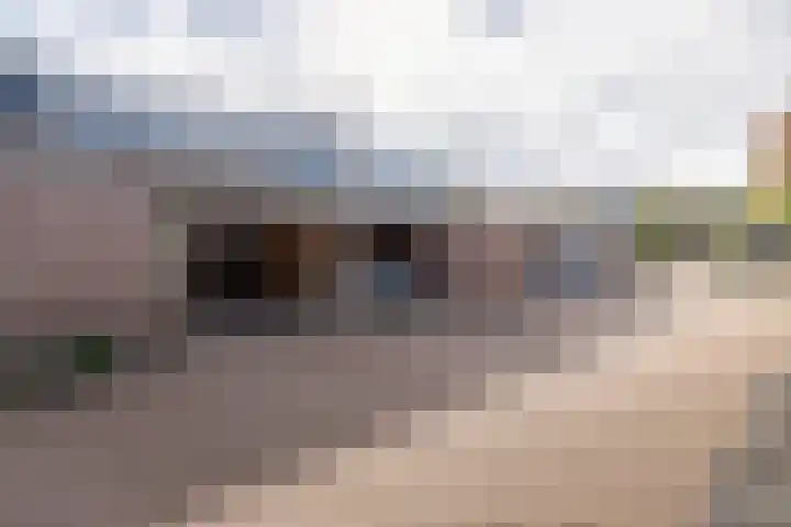 Nijenbeek 70 Barneveld thumbnail 38