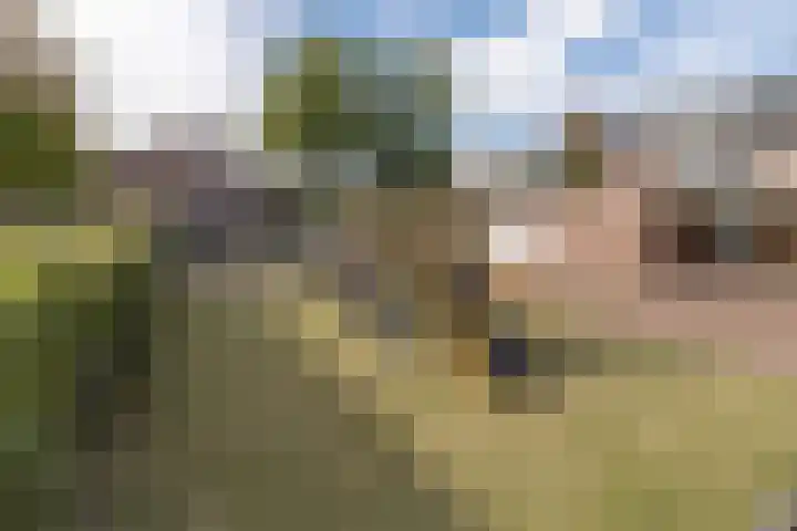Nijenbeek 70 Barneveld thumbnail 39