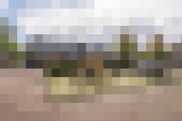 Nijenbeek 70 Barneveld thumbnail 40