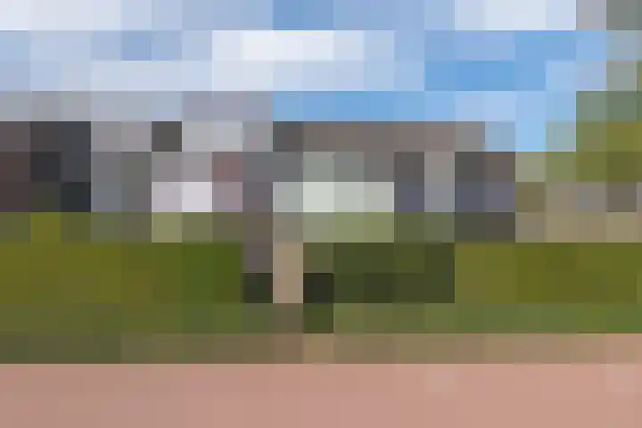 Nijenbeek 70 Barneveld thumbnail 41