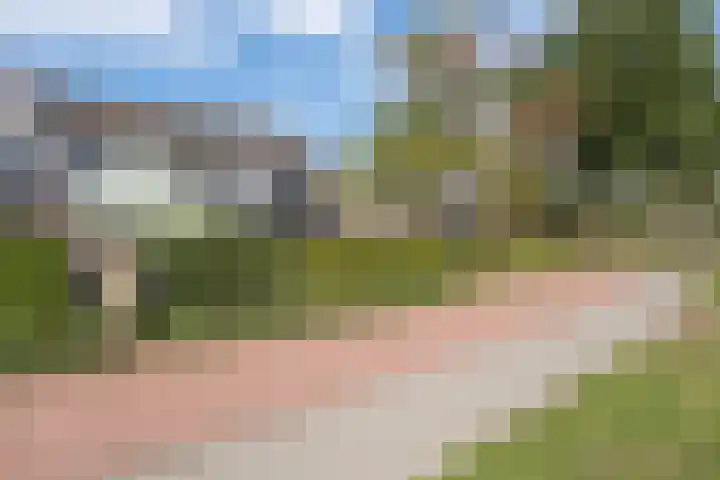 Nijenbeek 70 Barneveld thumbnail 42
