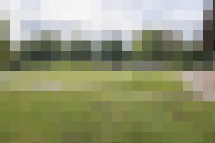 Nijenbeek 70 Barneveld thumbnail 43